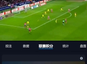 马洛卡资金告急，球队整体实力恐有下滑风险的简单介绍