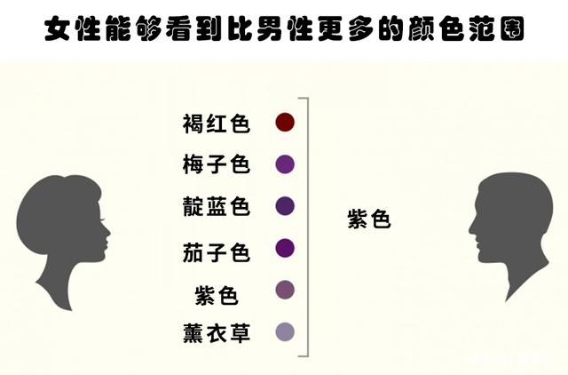 之间和到的区别 到和至在范围上的区别 